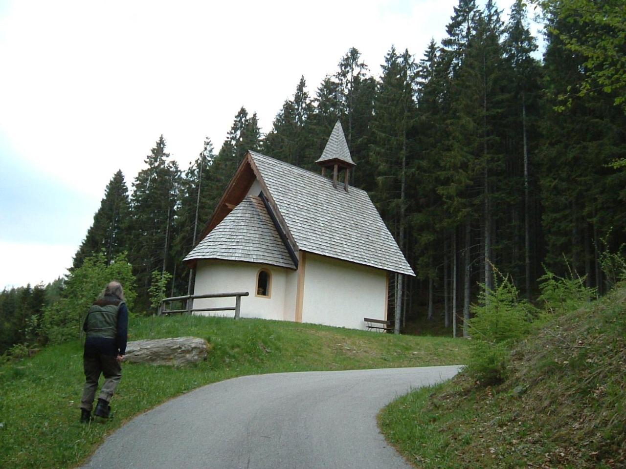 Chalet Nel Doch Villa Cheia Canal San Bovo Buitenkant foto